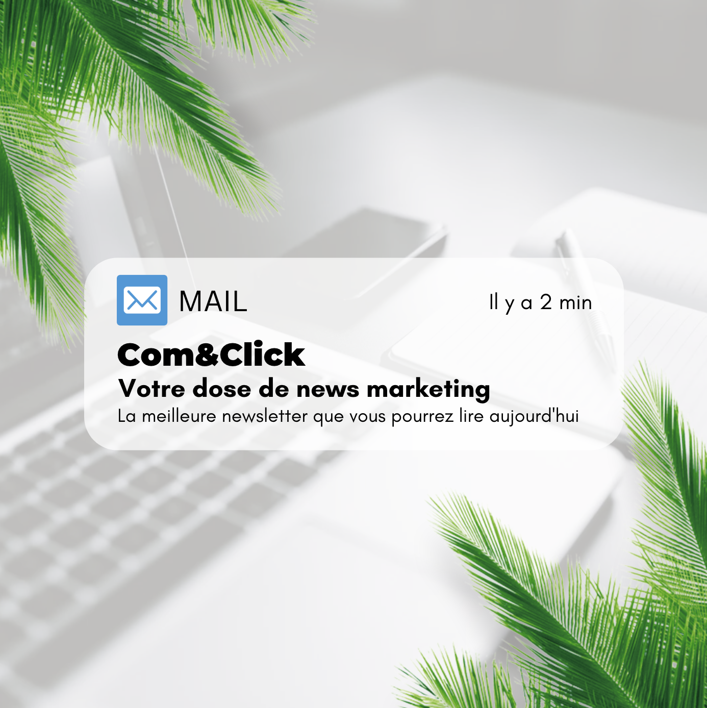 exemple de pré-header